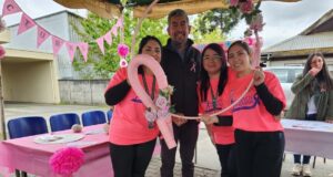 Cesfam de Freire realiza Expo Salud para promover la vida sana y acercar sus servicios a la comunidad