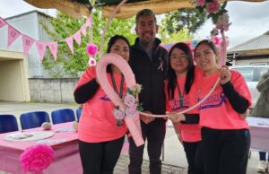 Cesfam de Freire realiza Expo Salud para promover la vida sana y acercar sus servicios a la comunidad