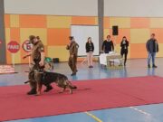 Carabineros compartieron una jornada educativa y recreativa junto a niños y niñas de Gorbea