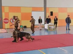 Carabineros compartieron una jornada educativa y recreativa junto a niños y niñas de Gorbea