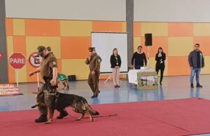 Carabineros compartieron una jornada educativa y recreativa junto a niños y niñas de Gorbea