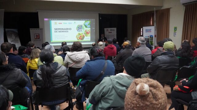 Seminario de berries reunió a más de 200 productores en Pitrufquén