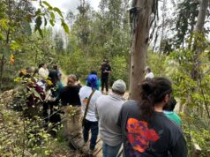 Emprendimiento turístico local inaugura sendero nativo en cerro Loica en la comuna de Pitrufquén
