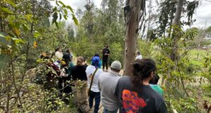 Emprendimiento turístico local inaugura sendero nativo en cerro Loica en la comuna de Pitrufquén