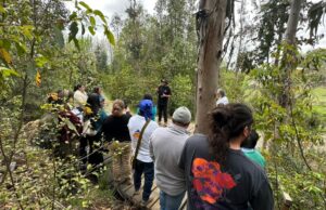 Emprendimiento turístico local inaugura sendero nativo en cerro Loica en la comuna de Pitrufquén