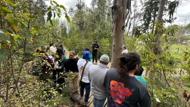 Emprendimiento turístico local inaugura sendero nativo en cerro Loica en la comuna de Pitrufquén