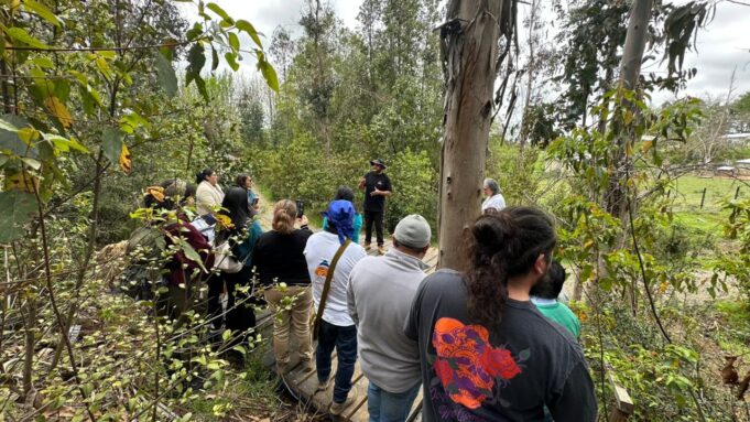 Emprendimiento turístico local inaugura sendero nativo en cerro Loica en la comuna de Pitrufquén
