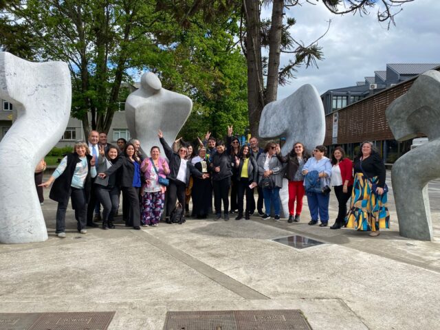 Dirigentes sociales de Pitrufquén se certifican en curso sobre calidad del aire y contaminación atmosférica