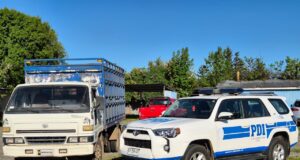 En Lautaro PDI desarticula estructura criminal dedicada al abigeato y microtráfico de drogas