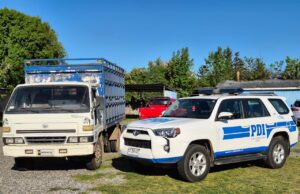 En Lautaro PDI desarticula estructura criminal dedicada al abigeato y microtráfico de drogas