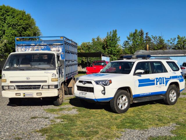 En Lautaro PDI desarticula estructura criminal dedicada al abigeato y microtráfico de drogas