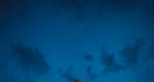 Con show familiar, concursos y más de 250 nuevos empleos, LOV Pitrufquén abrirá oficialmente sus puertas este sábado