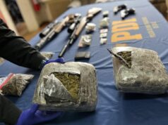 En Traiguen sacan de circulación más de tres mil dosis en sustancias ilícitas avaluadas en 20 millones de pesos