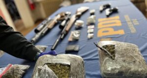 En Traiguen sacan de circulación más de tres mil dosis en sustancias ilícitas avaluadas en 20 millones de pesos