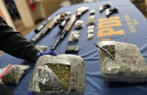 En Traiguen sacan de circulación más de tres mil dosis en sustancias ilícitas avaluadas en 20 millones de pesos