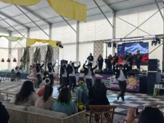 Ballet Folclórico municipal de Freire destaca en el Frusan Palooza 2025 en San Fernando