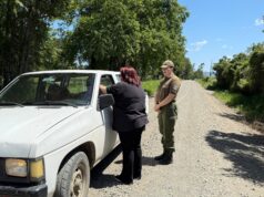 Carabineros y seguridad pública refuerzan acciones preventivas ante aumento del abigeato en Pitrufquén