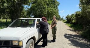 Carabineros y seguridad pública refuerzan acciones preventivas ante aumento del abigeato en Pitrufquén