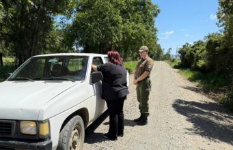 Carabineros y seguridad pública refuerzan acciones preventivas ante aumento del abigeato en Pitrufquén