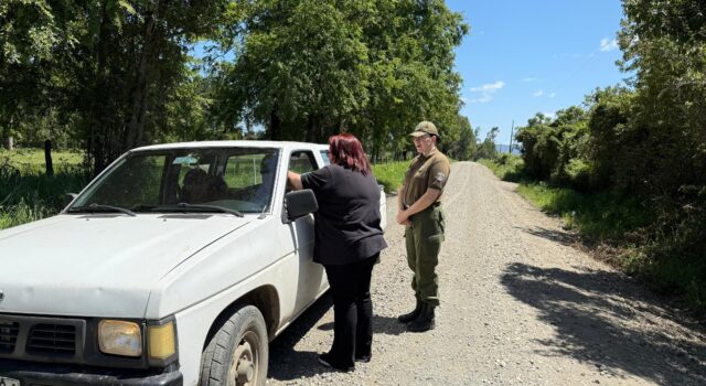 Carabineros y seguridad pública refuerzan acciones preventivas ante aumento del abigeato en Pitrufquén
