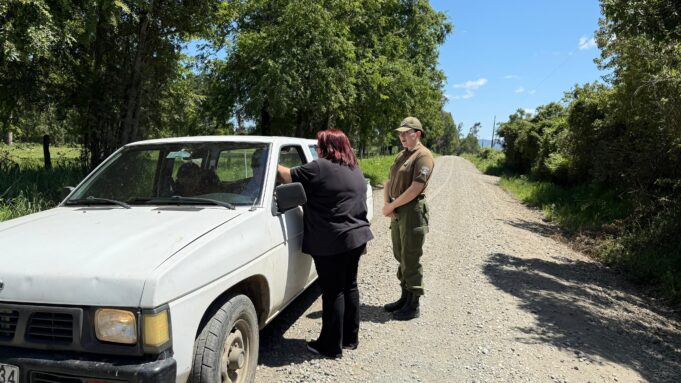 Carabineros y seguridad pública refuerzan acciones preventivas ante aumento del abigeato en Pitrufquén