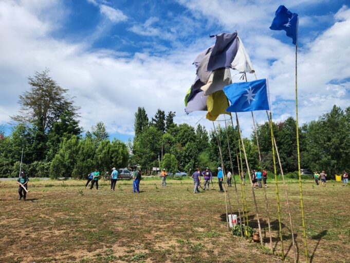 Freire: tradición y comunidad se vivió en el segundo encuentro de palín en Radal