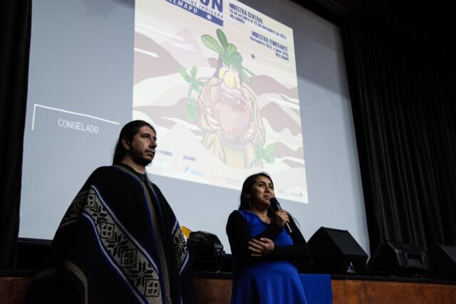 En Villarrica inaugurarán nueva versión de muestra de cine indígena TUWUN