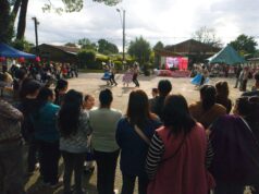 Freire vive una gran Teletón 2025 en Quepe, Radal y Freire: la cruzada solidaria culmina hoy sábado