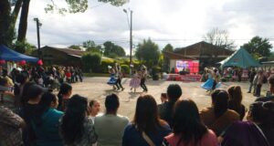 Freire vive una gran Teletón 2025 en Quepe, Radal y Freire: la cruzada solidaria culmina hoy sábado