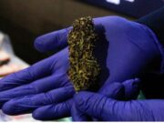 En prisión preventiva quedó funcionario del Sernapesca sorprendido transportando droga en Perquenco