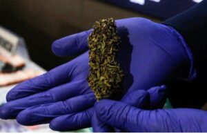 En prisión preventiva quedó funcionario del Sernapesca sorprendido transportando droga en Perquenco