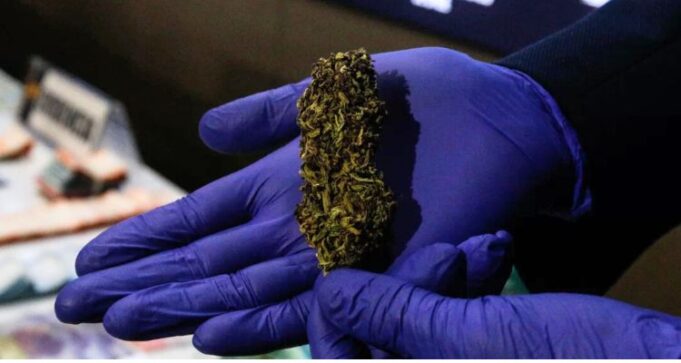 En prisión preventiva quedó funcionario del Sernapesca sorprendido transportando droga en Perquenco