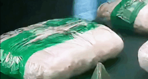 Funcionario del servicio nacional de pesca fue detenido en Perquenco tras ser sorprendido con 11 kilos de droga