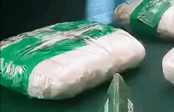 Funcionario del servicio nacional de pesca fue detenido en Perquenco tras ser sorprendido con 11 kilos de droga