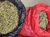 Siete integrantes de clan dedicado al tráfico de drogas fueron condenados en Temuco