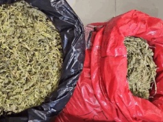 Siete integrantes de clan dedicado al tráfico de drogas fueron condenados en Temuco