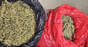 Siete integrantes de clan dedicado al tráfico de drogas fueron condenados en Temuco