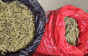 Siete integrantes de clan dedicado al tráfico de drogas fueron condenados en Temuco