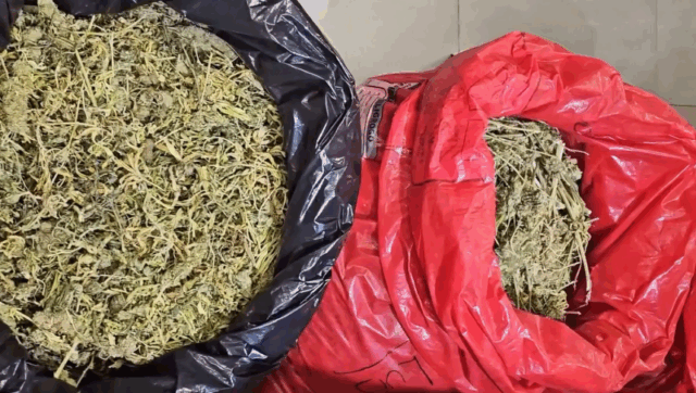 Siete integrantes de clan dedicado al tráfico de drogas fueron condenados en Temuco