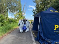 Hombre habría dado muerte a su esposa en la ruta entre Freire y Villarrica: fue detenido por la PDI
