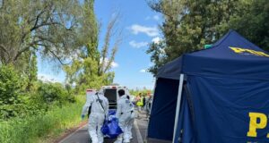 Hombre habría dado muerte a su esposa en la ruta entre Freire y Villarrica: fue detenido por la PDI