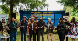 Productores de Freire realizan luna atractiva “muestra de gallinas”