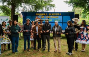 Productores de Freire realizan luna atractiva “muestra de gallinas”
