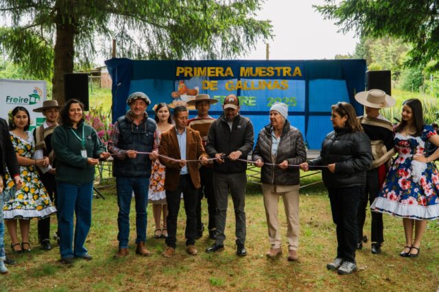 Productores de Freire realizan luna atractiva “muestra de gallinas”