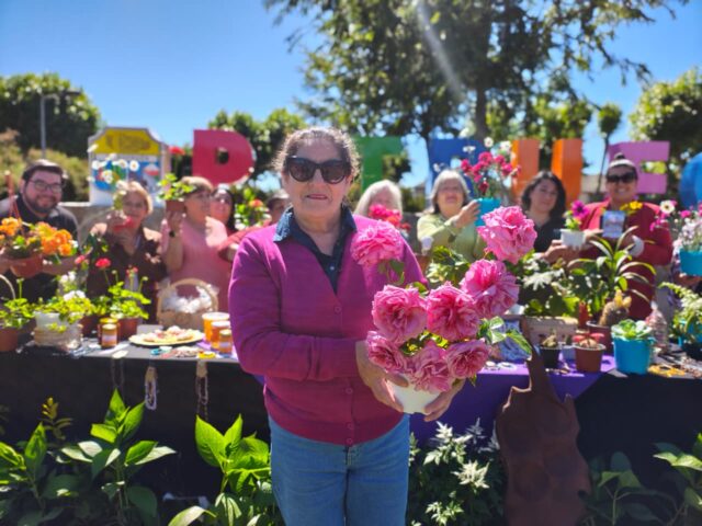 Pitrufquén florece nuevamente con la llegada de la duodécima versión de la fiesta de las flores