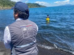 Activan monitoreo intensivo del lago Villarrica para detectar posibles floraciones de algas