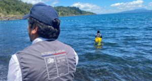 Activan monitoreo intensivo del lago Villarrica para detectar posibles floraciones de algas