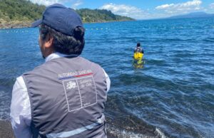 Activan monitoreo intensivo del lago Villarrica para detectar posibles floraciones de algas