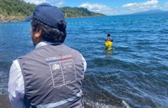 Activan monitoreo intensivo del lago Villarrica para detectar posibles floraciones de algas