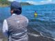 Activan monitoreo intensivo del lago Villarrica para detectar posibles floraciones de algas